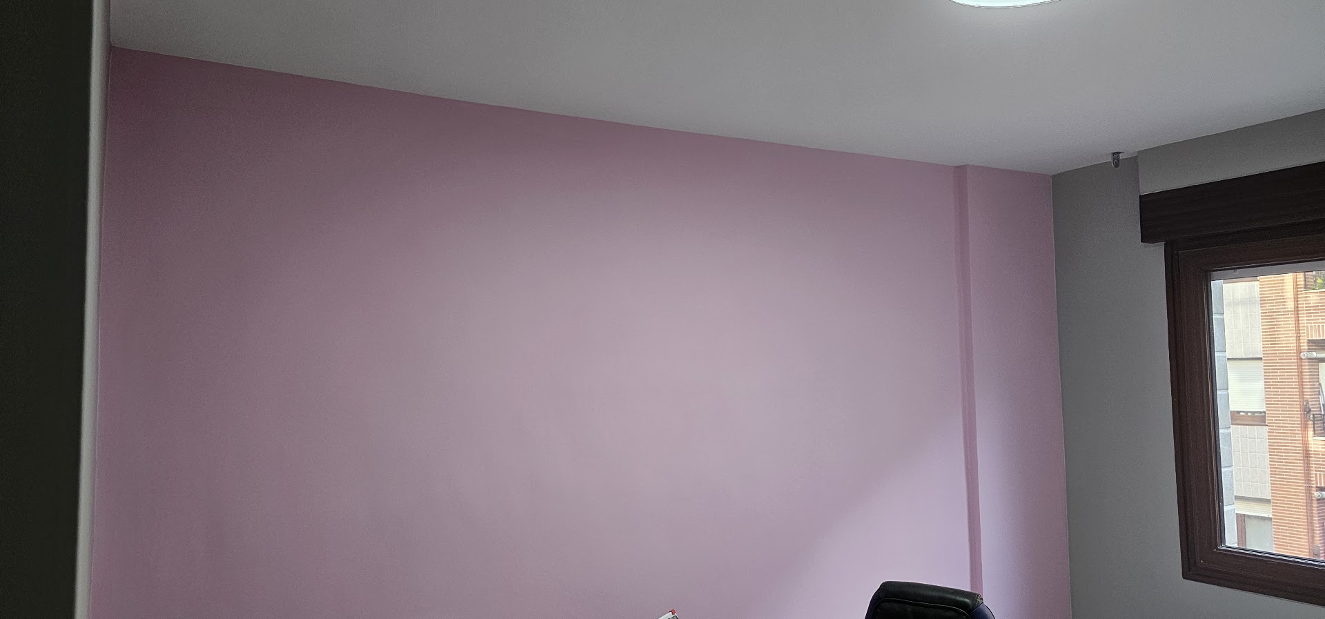 FRANCIS PINTURAS | Pintor en Getxo 🏠 — Fotos 11